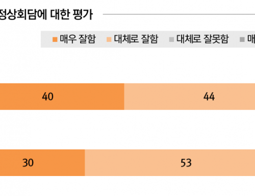 [Planning] Interim inspection of North Korea security awareness