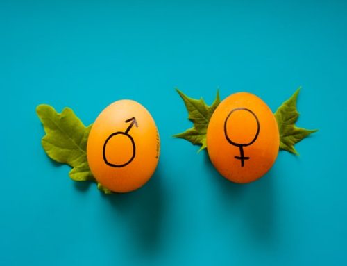 [2022 젠더인식조사]  젠더갈등과 성차별 인식