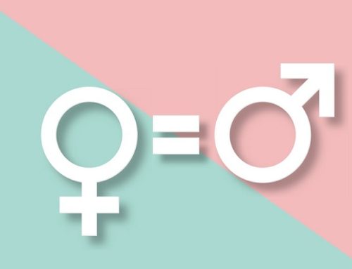 [2024 젠더인식조사] 대한민국, 남녀가 평등한 사회인가?