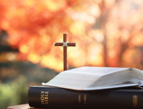 [2024 종교인식조사] 종교인구 현황과 종교 활동