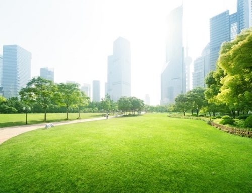 [기획] 공원, 삶의 질을 높이는 도시 필수 시설 – 공원 이용 현황과 시민 인식 조사